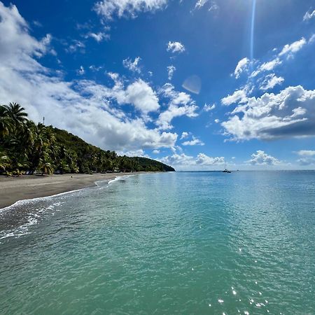 Le Gaspardo , 2 Chambres Climatisees , A 2 Mins A Pied De La Plage , Wifi , Jardin Clos, Parking ,Sans Vis-A-Vis Le Carbet Esterno foto